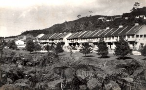 tanah rata 1950s